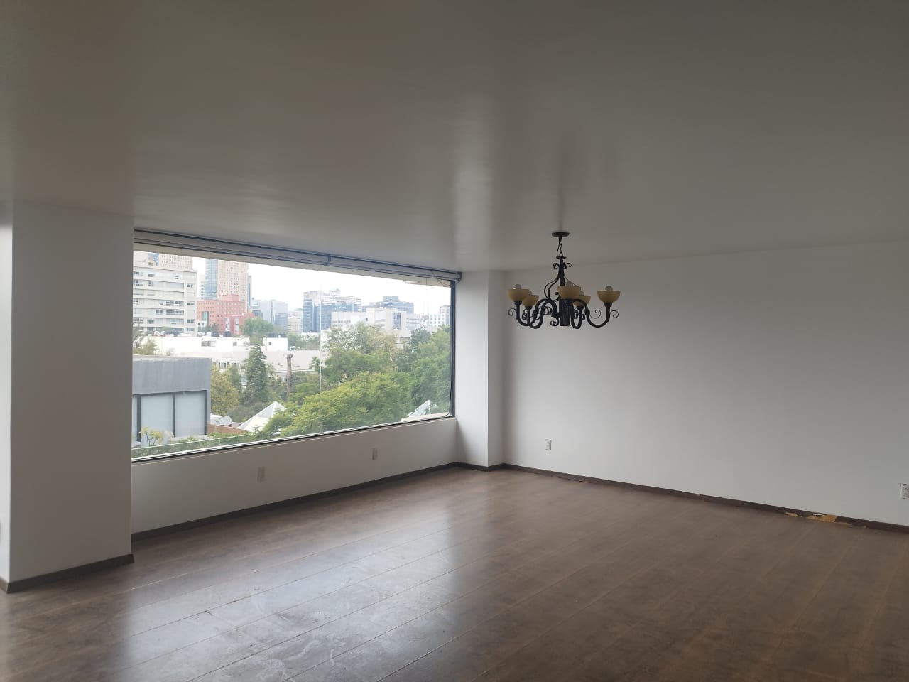 WhatsApp Image 2025-11-19 at 7.15.20 PM